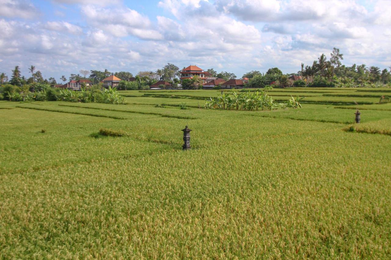 Kubu Sari Ubud Exterior foto