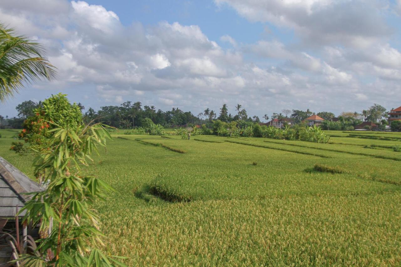 Kubu Sari Ubud Exterior foto